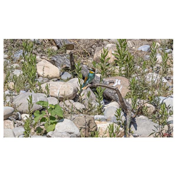 PHOTO84, CLUB, 84 , LUBERON